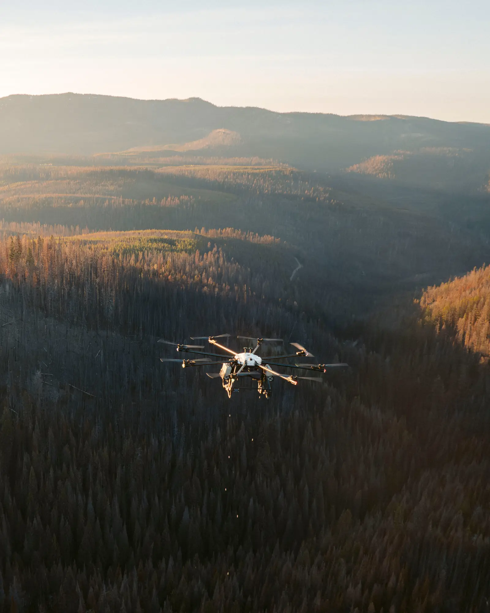 Flash Forest — Canadees climate-tech bedrijf dat bomen plant met drones. $11.4M Series A, media-aandacht van CNN tot World Economic Forum.
